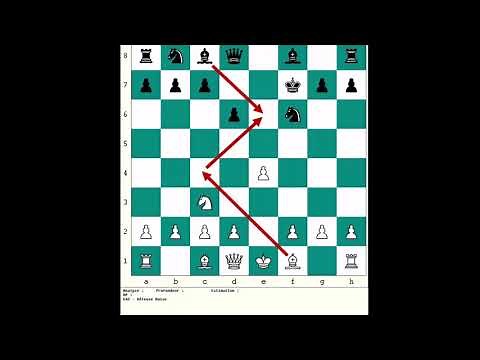 Initiation au jeu d'échecs pour débutants