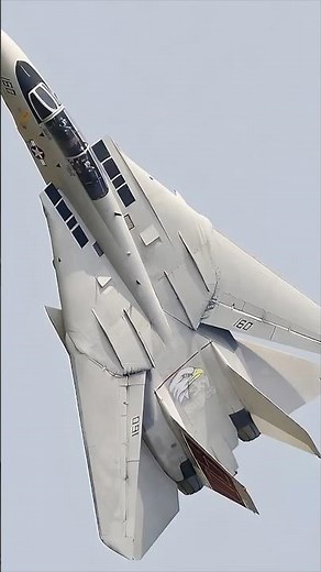 The Fall of the F-14 Tomcat –Top Gun’s Lost Legend #f14 #topgun #f14tomcat #usairforce #viralshorts