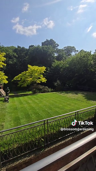 Perfect lines everytime! 🤩 📧 info@blossomgardening.co.uk #fyp #typsounds #asmrsounds #SoilPrep #lawn #lawncare #awntok #cleaningtiktok #lawnmower #lawntiktok #garden #gardening #overgrown #overgrownyard #cleaning #CleanTok #clean #asmr #asmrvideo #asmrsounds #transformation #transform #satisfyingvideo #grass #satisfying #satisfy #beforeandafter #landscapes #landscape #landscaper #stihl #before #after #edge #edges