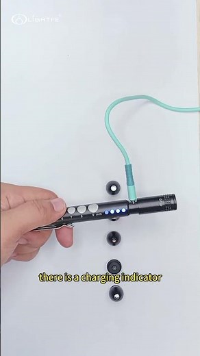 UV Flashlight 365nm Black light Flashliht