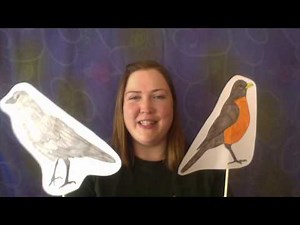 The Nest Building Lesson