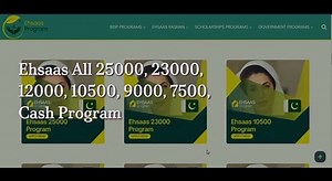 Ehsaas Program Registration Process