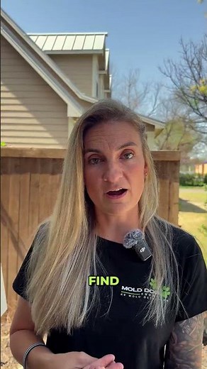 How Do You Train A Dog to Detect Mold?