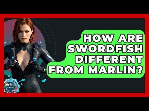 How Are Swordfish Different From Marlin? - The Marine Life Explorer
