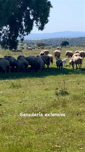 54 reactions | La ganadería extensiva supone la aplicación de un...