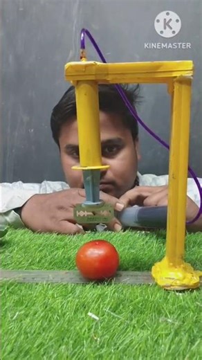 science logic experiment ✂️💉 #tomato #science #experimnent #trinding #shortvideo