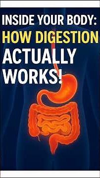 How the Digestive System Works — The Incredible Journey of Your Food. #DigestiveSystemExplained
