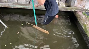 RESCUING A GIANT CATFISH!! 😱 #exoticslair | Exotics Lair