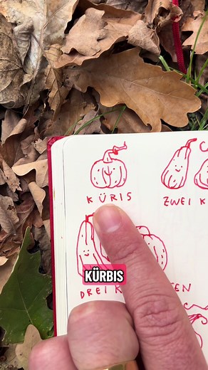 Kürbis Pluralform: Wissenswertes für den Herbst
