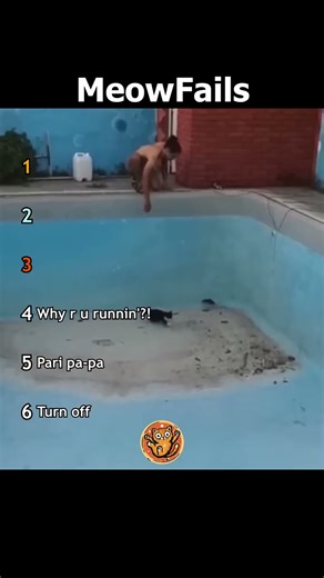 Ranking Best Cats Fails pt.15 | MeowFails #funny #cat