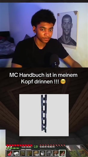 MC Profi !!! #minecraft #mc #humor #streamer #java