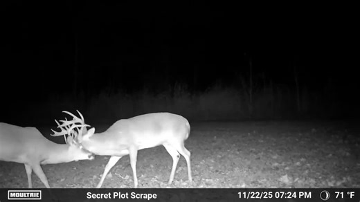 Things are starting to heat up back at Cottonwood! Moultrie Products | Small Town Hunting
