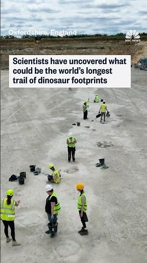 Scientists have uncovered what could be the world's longest trail of dinosaur footprints
