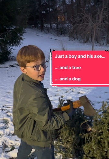 Christmas tree disposal- the fun way. #axe #christmastree #chopping #qualitytime #plumb