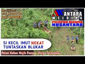 Si Kecil Imut Nekat Tuntaskan Blukar !! Menakjubkan ! MOWER KULTIFATOR