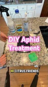 DIY Aphid Spray for Citrus Trees: Castile Soap + Oil Recipe