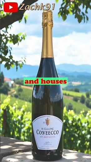 Italy’s Sparkling Secret: The Prosecco Hills! 🥂🇮🇹✨ Pt. 2