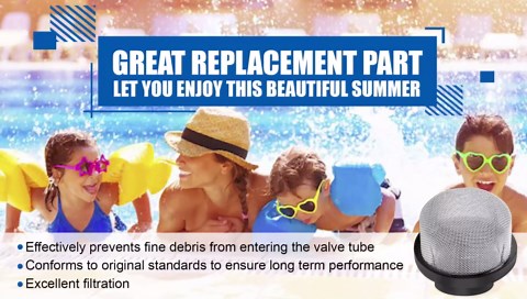 XT 172855 Air Bleeder Screen Cap Direct Replacement for Pentair FNS/Nautilus Pool and Spa D.E. Filter