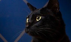 Create dynamic lighting