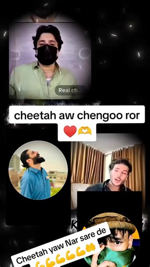 Real cheetah 804 (@cheetah4594)’s videos with original sound - Real cheetah 804