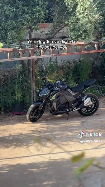 Kawasaki Z1000: Features and Performance Insights