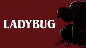 Ladybug (2024)