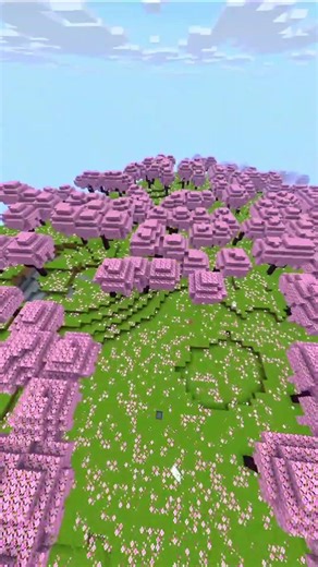 From Cherry Biome to The End… While Falling!