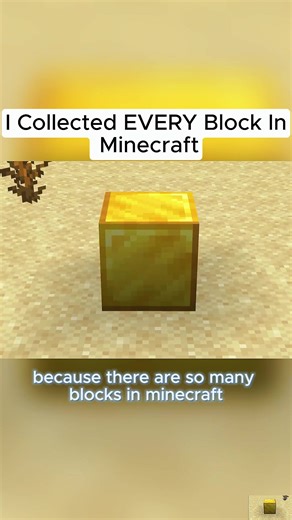 I Collected EVERY Block In Minecraft #hardcore #but #minecraft | minecraft