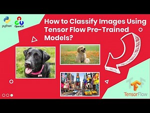 TensorFlow Image Classification Tutorial: ResNet50 vs. MobileNet