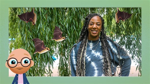 Teeny Tiny Creatures - Series 2 - Chantelle and Rory: 8. Bats