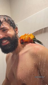 Pluto took a bath like this for the very first time this morning?! 😱 . . . . #animals #birdsofinstagram #love #pets #parrots #birds #birdsofindia #parrotsofinstagram #conure #happy #family #selfcare #morning #bathe #party #dancing #dance | Pluto Birdie