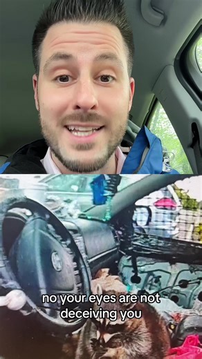 Raccoon with Meth Pipe Found by Ohio Police