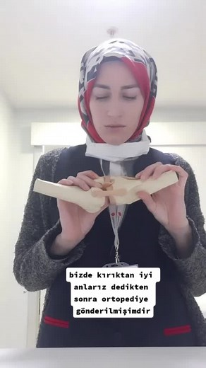 Understanding Jawbone Anatomy Through Hands-On Learning