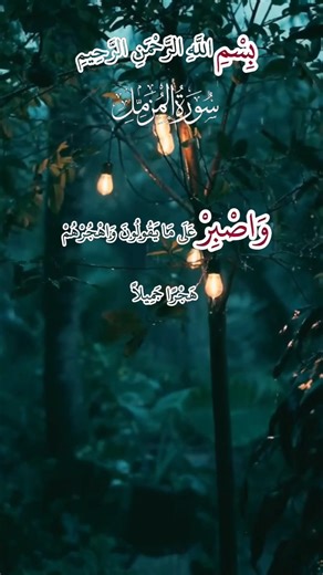 Surah Al-Muzzamil | Abdurrahman Masood Tilawat | Short Clip#AbdurrahmanMasood #QuranTilawat
