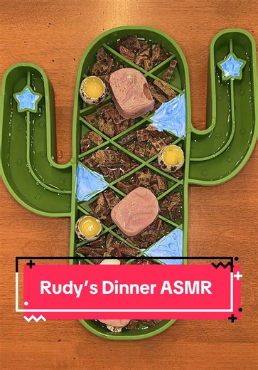 My dog Rudy’s dinner 🥩 ASMR 🐕 #dog #rawfeddog #asmr #dogfood #dogmom | dog food preparation
