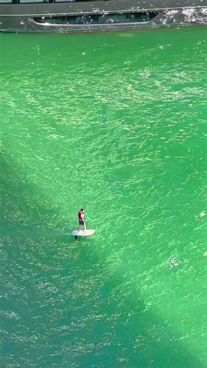 Surfing in the USA: A Coastal Adventure