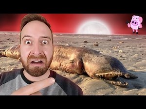 6 Mysterious Creatures Caught on Tape