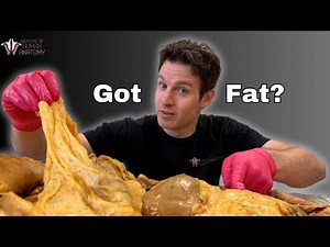 Fat: The Good, the Bad, & the Truth About Losing It