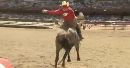 Cheyenne Frontier Days back for 127th year featuring biggest outdoor rodeo, carnival and more