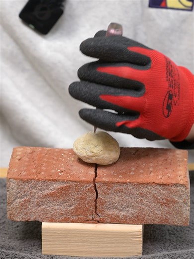 防御力が高すぎるおはぎの魅力