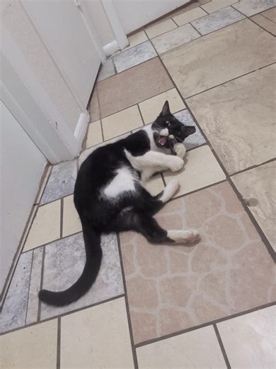 Cassidy Ayn Russell on Reels