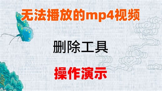 已损坏的mp4视频检测和清理工具_使用步骤