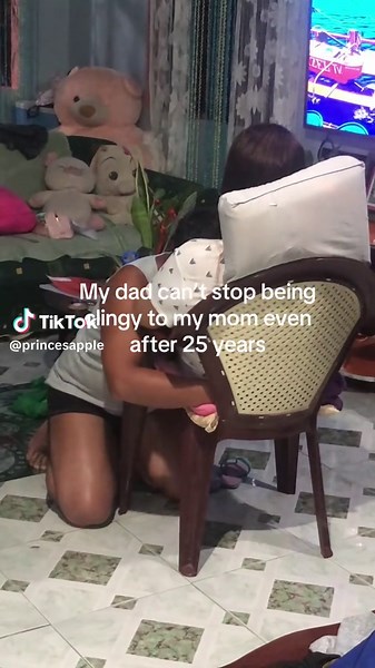 El encantador amor entre un gato negro y un perro dorado