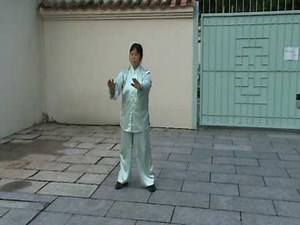 Taiji - Chen style 36 陳式太極拳36式 by 鄭素霞師傅