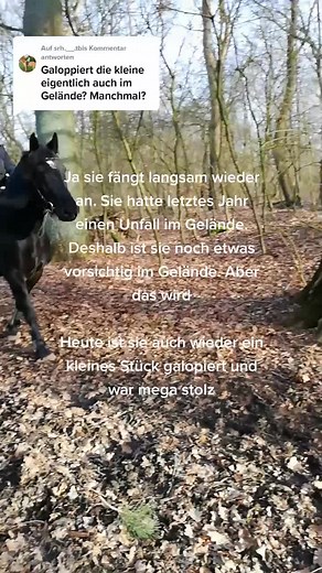 @srh.__.tbl antworten #viral #foryou #meinpferd #equestrian #reitenistsport #kind #reitenlernen