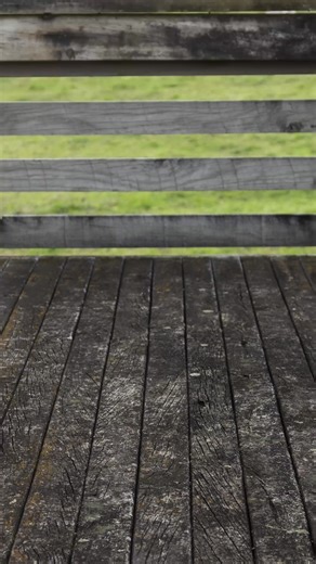 Simply spray, scrub, and rinse for an instant clean! 識 | 30 Seconds Australia | Facebook