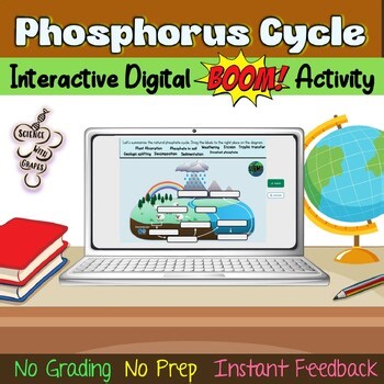 The Phosphorus Cycle Interactive Digital BOOM Review Activity