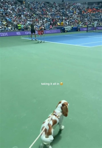 will always be one of my favorite memories… ash’s first time on ashe 🥹 @US Open