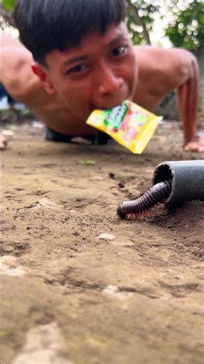 Easy and done, the millipedes will never turn down my offering #millipedes