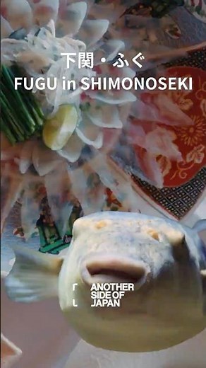 Welcome to Japan's Fugu Capital -- SHIMONOSEKI!!! #anothersideofjapan #日本旅行 #travel #japanesefood